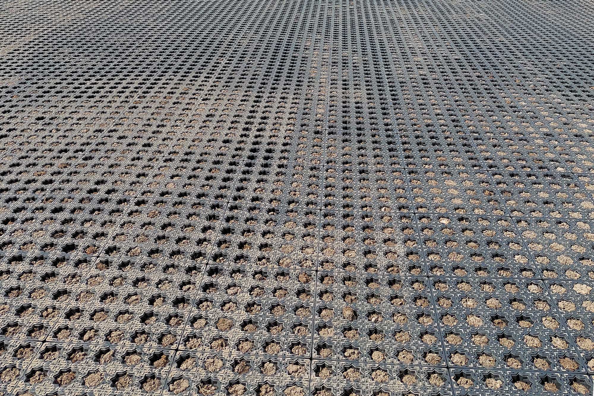 avigrid-landebahn-nah-1